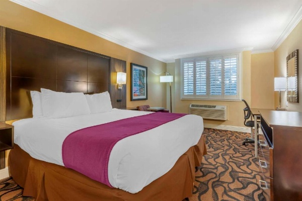 Best Western Plus Airport Plaza image 28